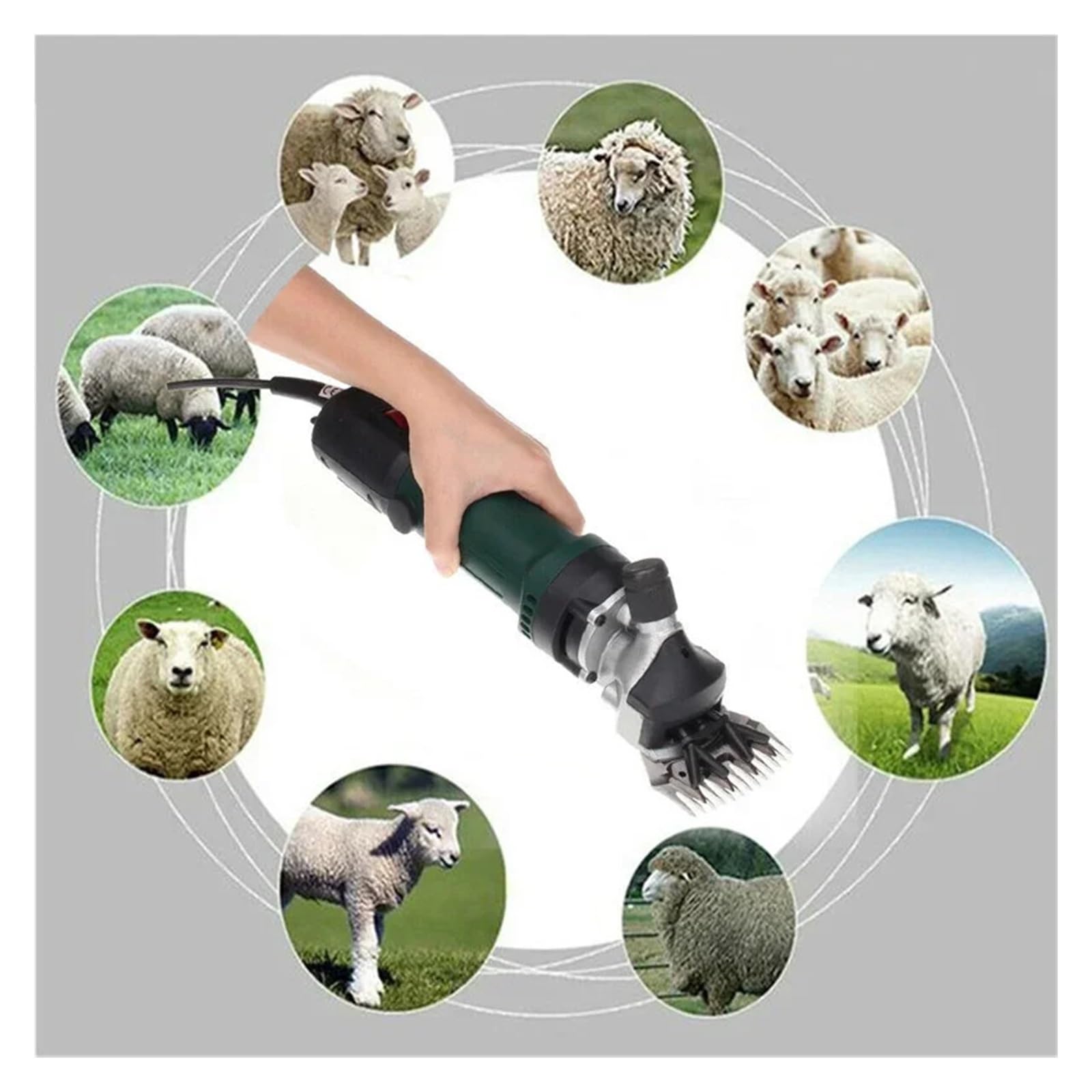 Tosatrice elettrica for pecore da 1200 W a 6 velocità, for rasare la lana di pelliccia nelle pecore per Rasatura Pelliccia Lana Fattoria Bestiame Anim
