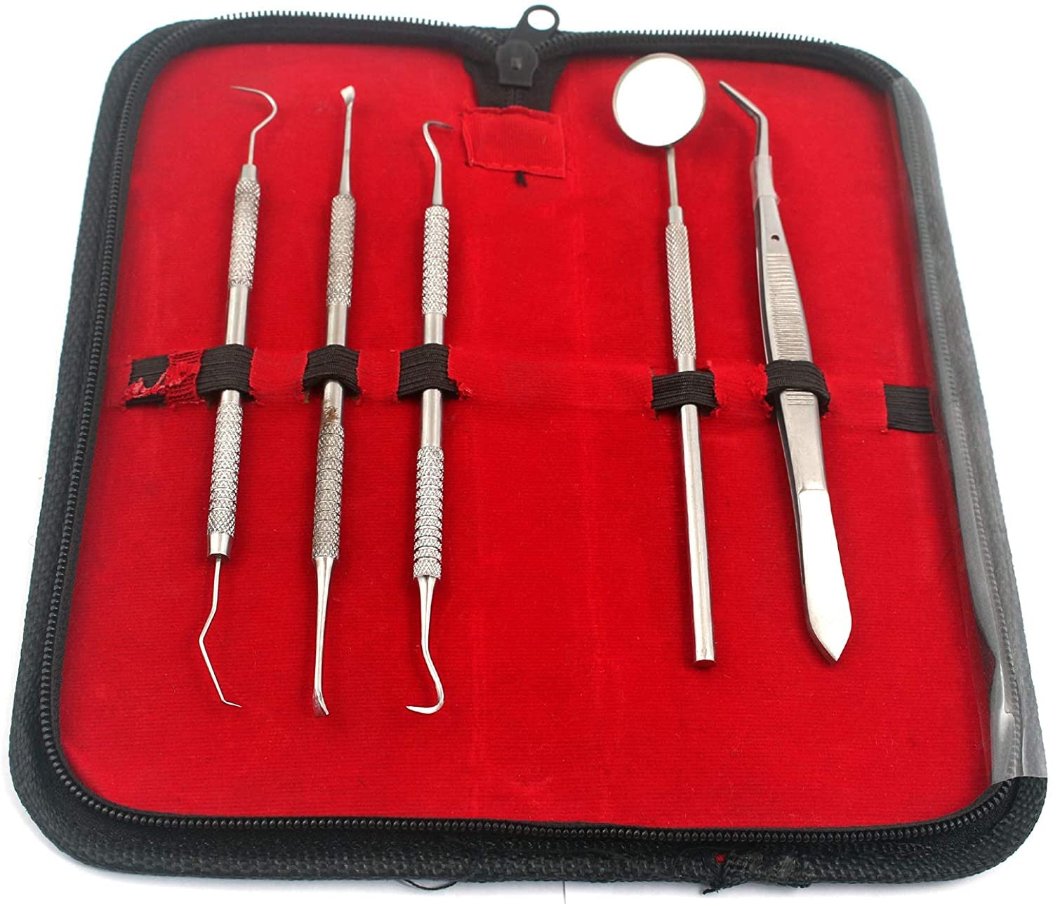 Dentist Tools KIT by AA PRO Set of Dental Tools Included