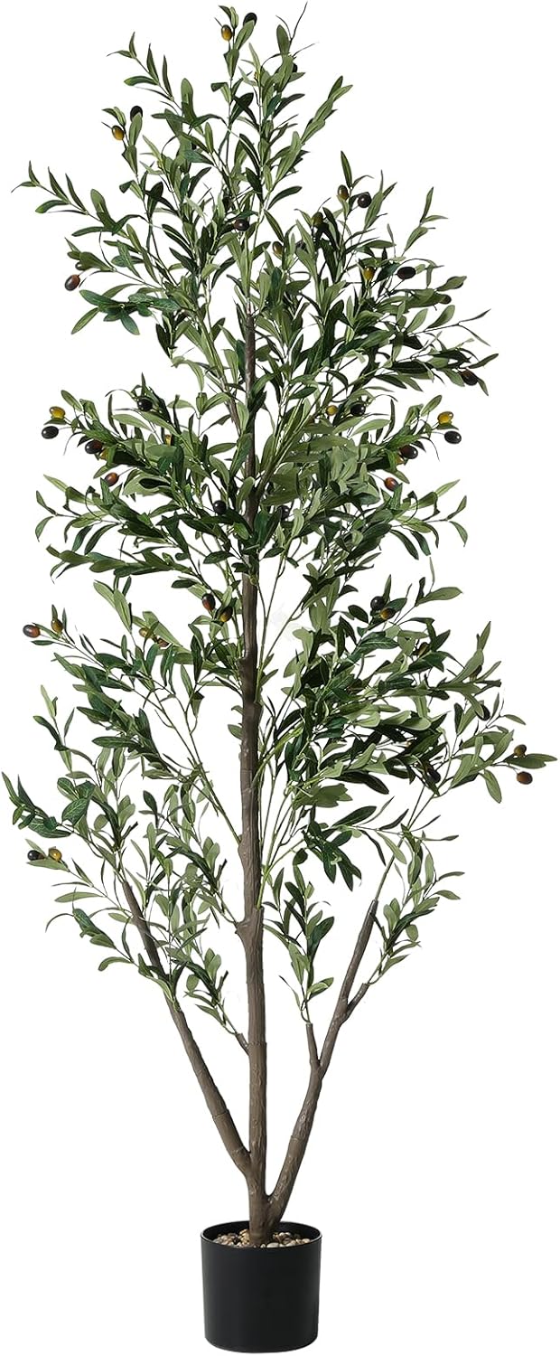 Photo 1 of Olive Trees Artificial Indoor, 6FT Tall Faux Olive Tree with Lights Moss and Planter, Artificial Plants Indoor with Natural Wood Trunk and Lifelike Fruits, Fake Tree for Home Office Living Room Decor 
