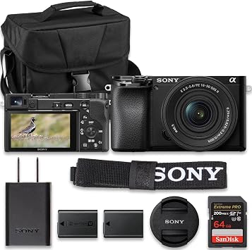 Sony ILCE6100KB Alpha 6100 Mirrorless 4K Video Camera with E PZ 16-50mm Lens - Black Value Bundle