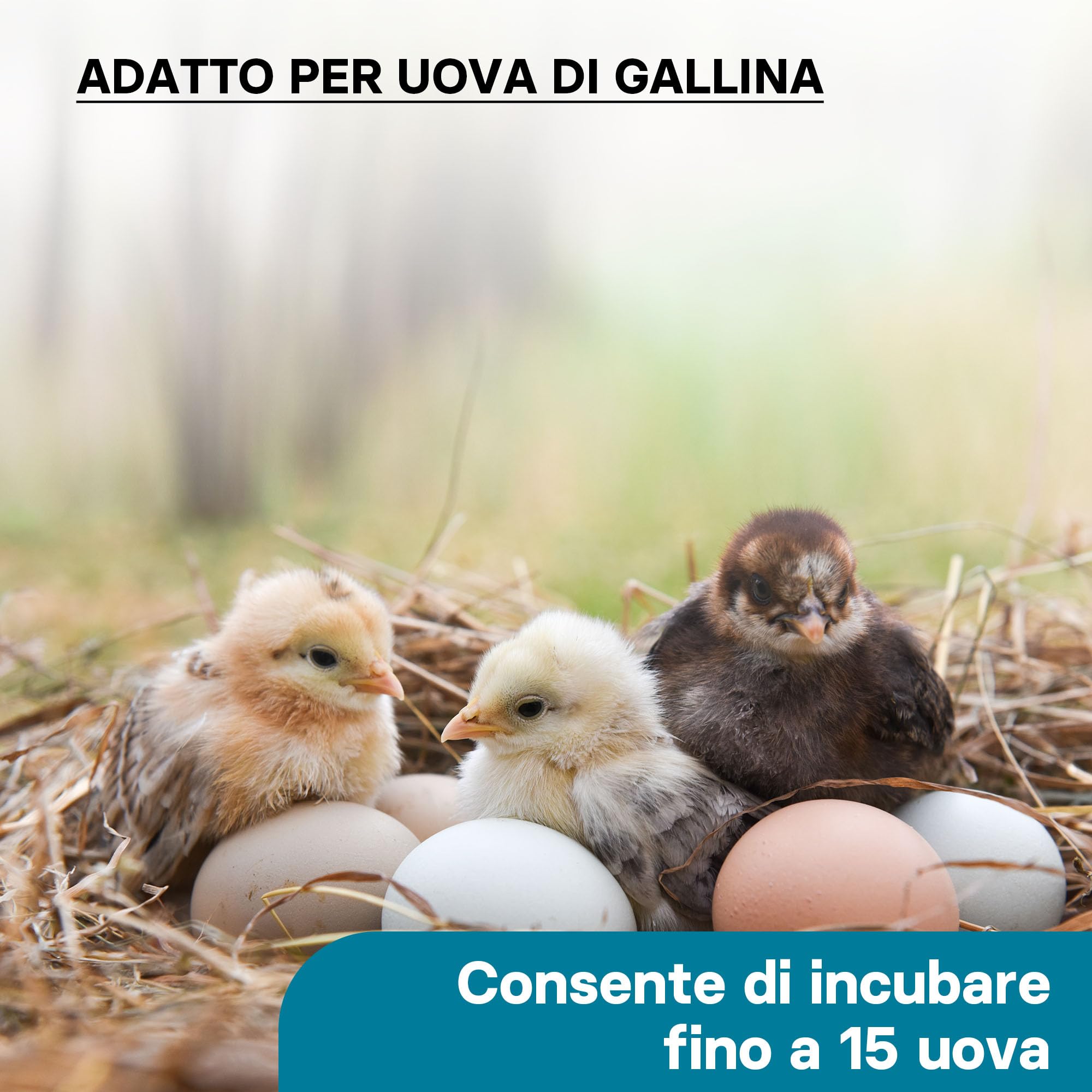 Wiltec Incubatrice automatica per 15 uova, con regolazione temperatura e umidità, Covatrice