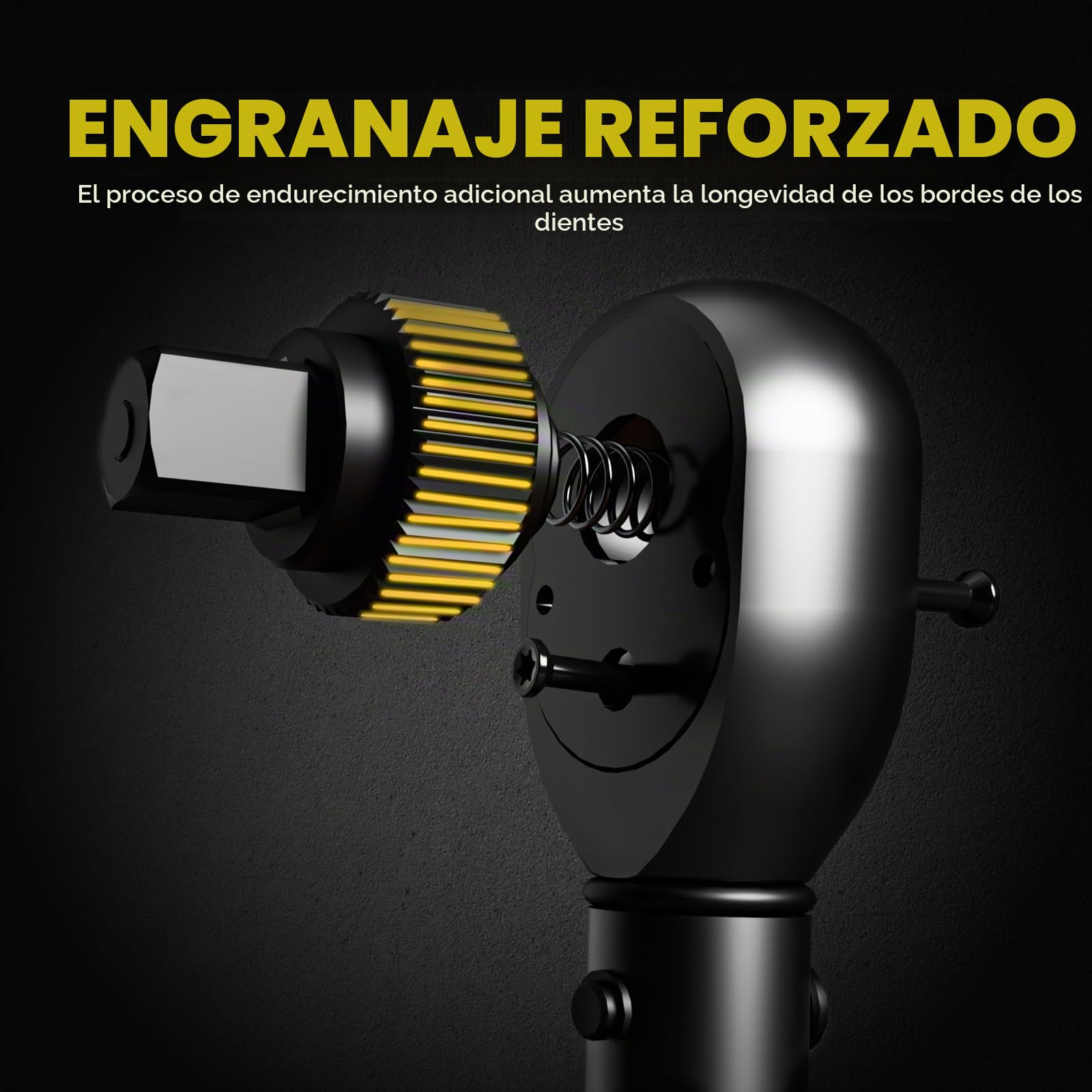 Hairich Llave Dinamométrica para Bicicleta y Moto, 1/4", Juego de 15 Piezas con Puntas Hexagonales y Torx, Rango de 2-20 Nm, con Barra de Extensión, Llave de Par para Bicicleta de Carretera