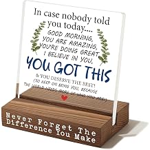 You Got This Motivational Desk Sign, Encouragement Gift for Coworker Friend Teacher Nurse, Inspirational Office Table Decor for Women Men, Uplifting Quote Plaque for Appreciation Birthday EC326