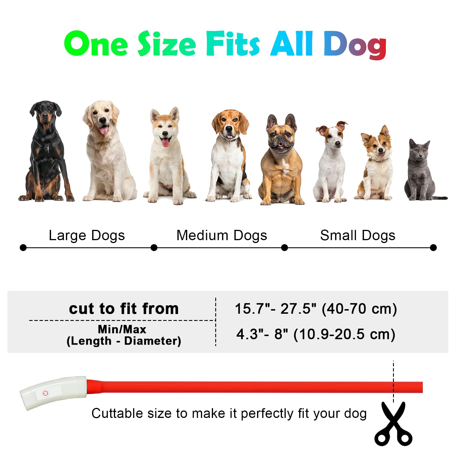 AUAUY Collare Luminoso per Cani, Collare per Animali Domestico LED Ricaricabile USB, Collare di Lunghezza Regolabile con 4 Modalità Luminose per Cani di Taglia Piccola Media Grande - Rosso