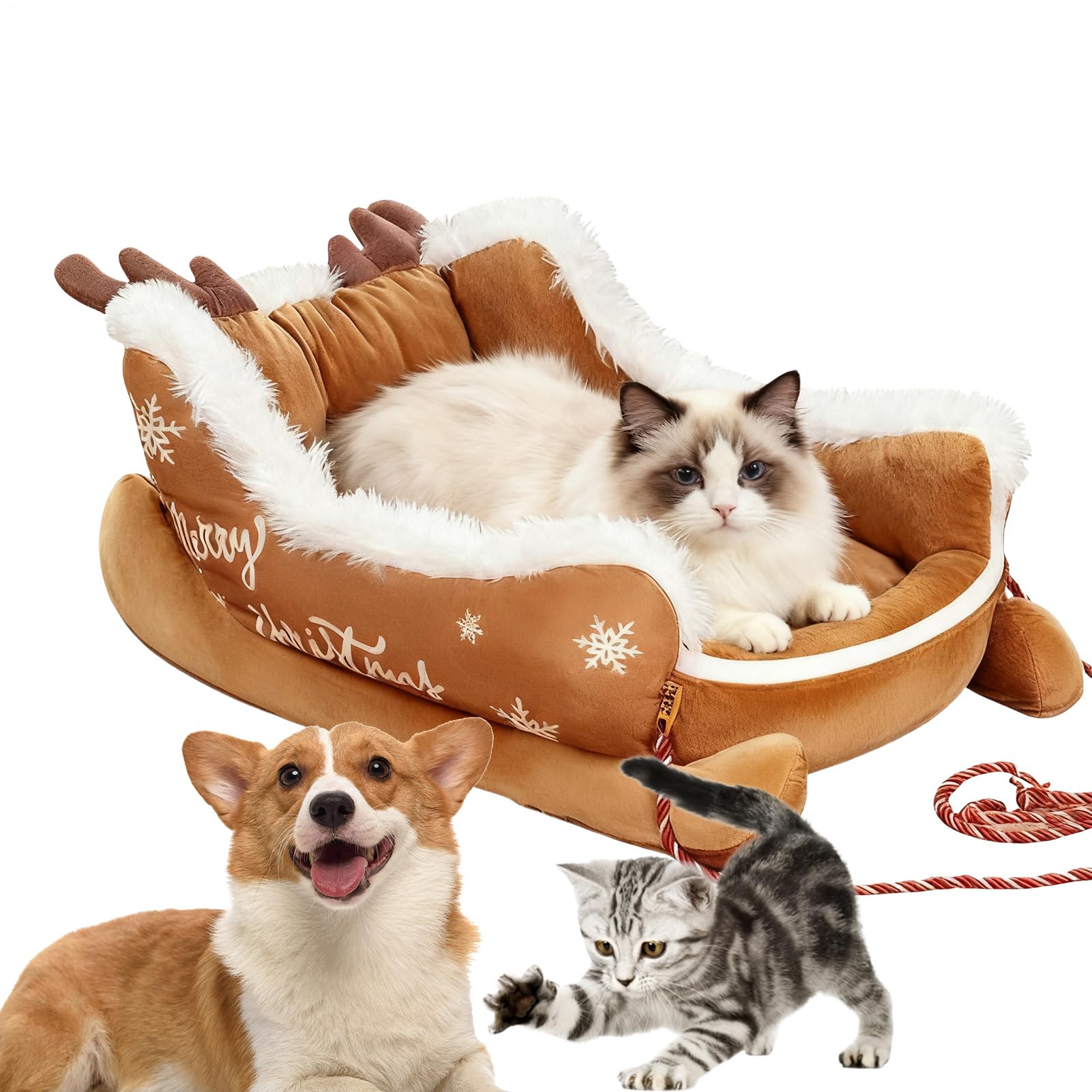 Lit pour chien lavable pour petit chiot, panier luge stable et propre