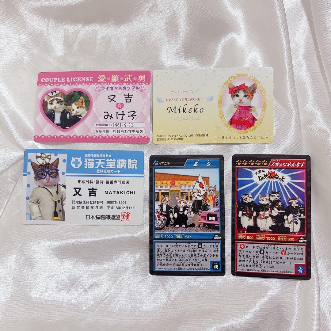 トレーディングカード box デュエマ」の人気商品一覧 | 安い商品を通販