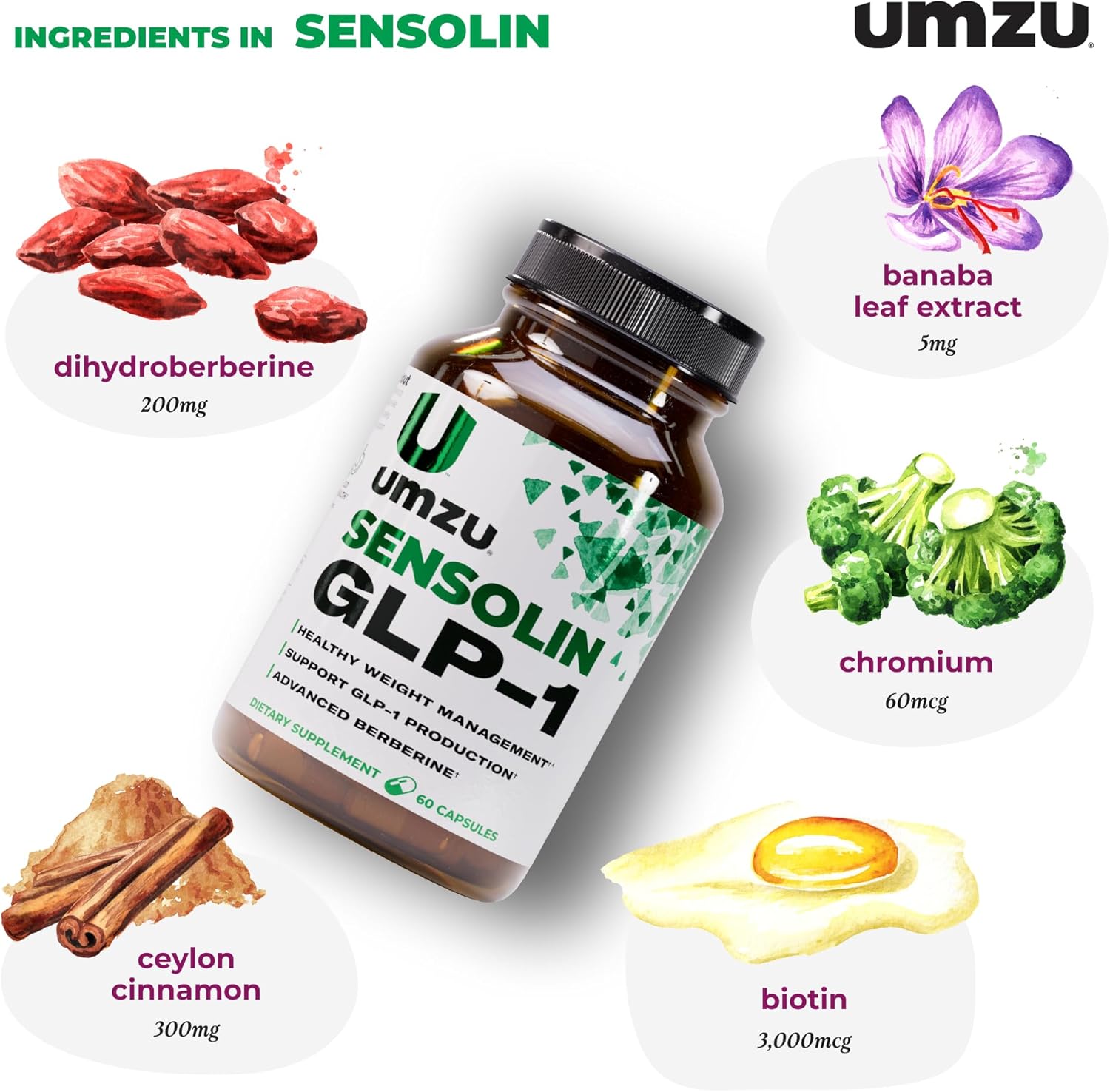 UMZU Sensolin GLP-1 Support Supplement – 30 Day Supply – with Dihydroberberine, Ceylon Cinnamon, Chromium & Biotin – Supports Metabolic Function, Focus & Energy Balance - Image 3