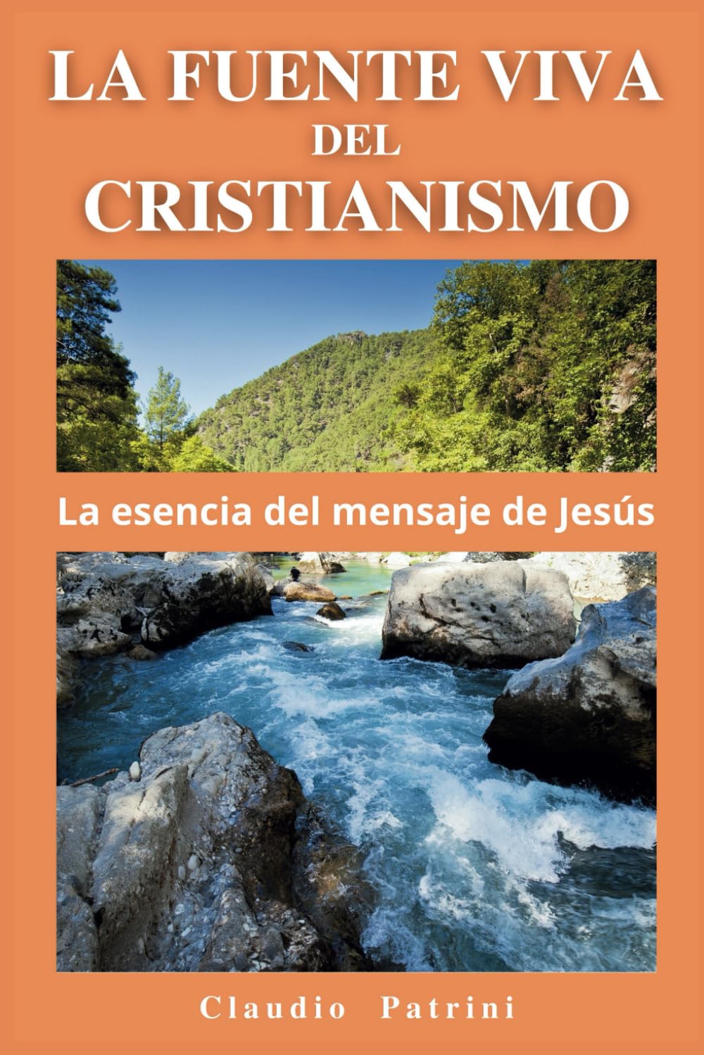 LA FUENTE VIVA DEL CRISTIANISMO: La esencia del mensaje de Jesús