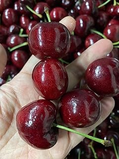 プレミアム チェリー 約2.5kg 産地箱入 大粒30〜32mm 3J チリ産 空輸直送・日本向け Fresh Cherries 無燻蒸 濃厚な甘味とジューシー食感 冬季限定 贈答用・家庭用 国内検品済み フレッシュチェリー さくらんぼ 櫻桃・車厘子 冷蔵発送