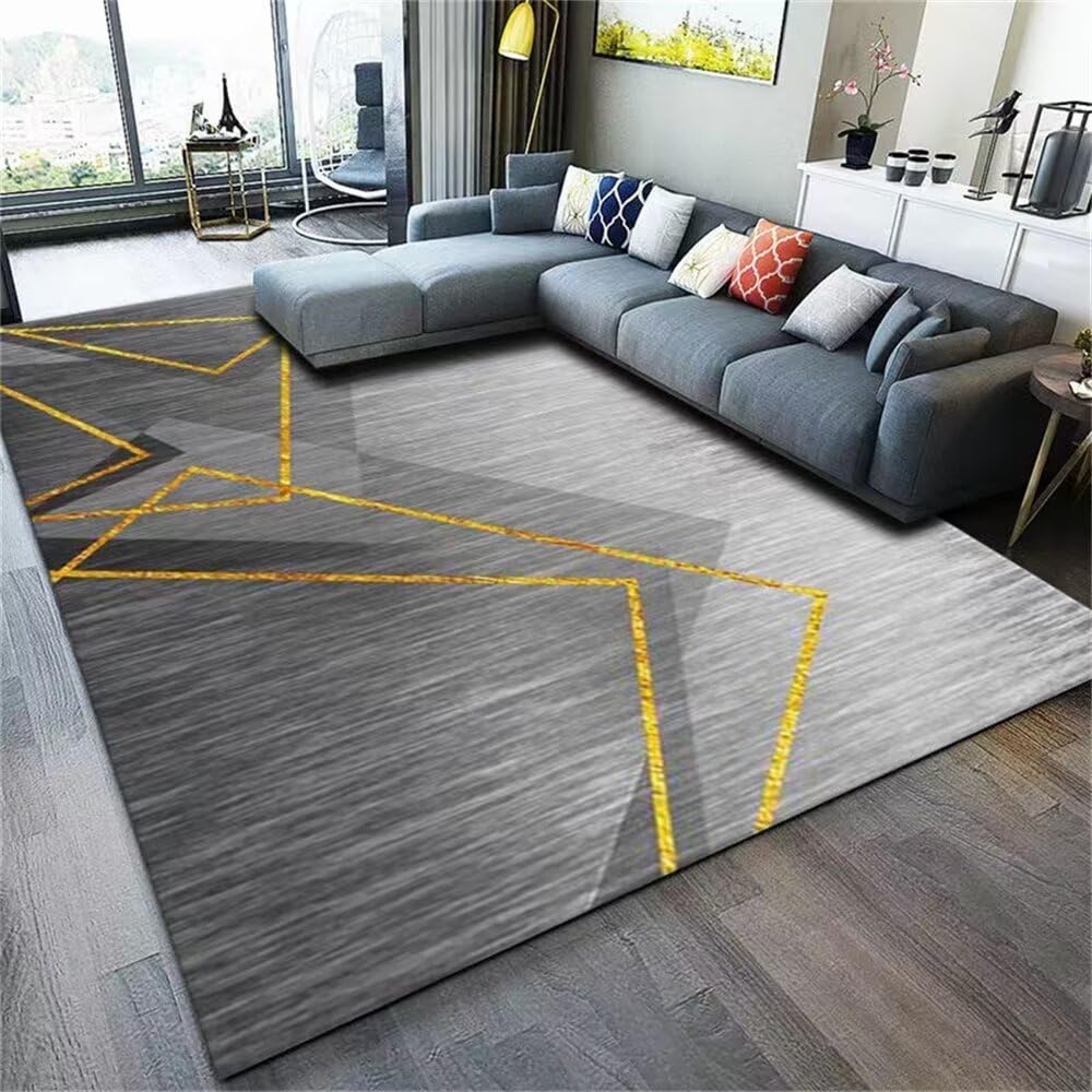Grand tapis entree interieur et exterieur gris et or 50x80cm pour terrasse et salon moderne