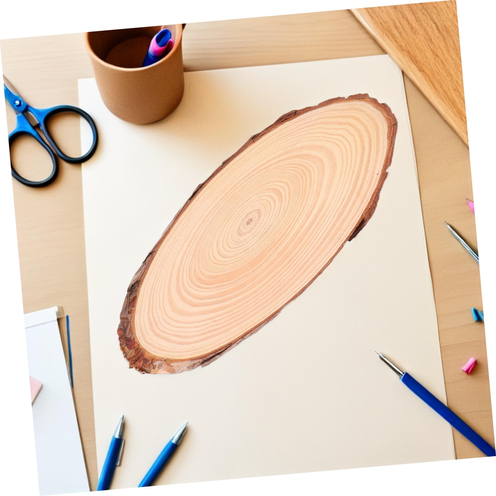 WOONEKY 4 Stücke Ovale Naturholzscheiben mit Rinde Robuste Unbehandelte Holzstücke für Brennkunst DIY Deko Rustikale Hochzeitstafeln Tischuntersetzer Kreative Bastelholzplatten