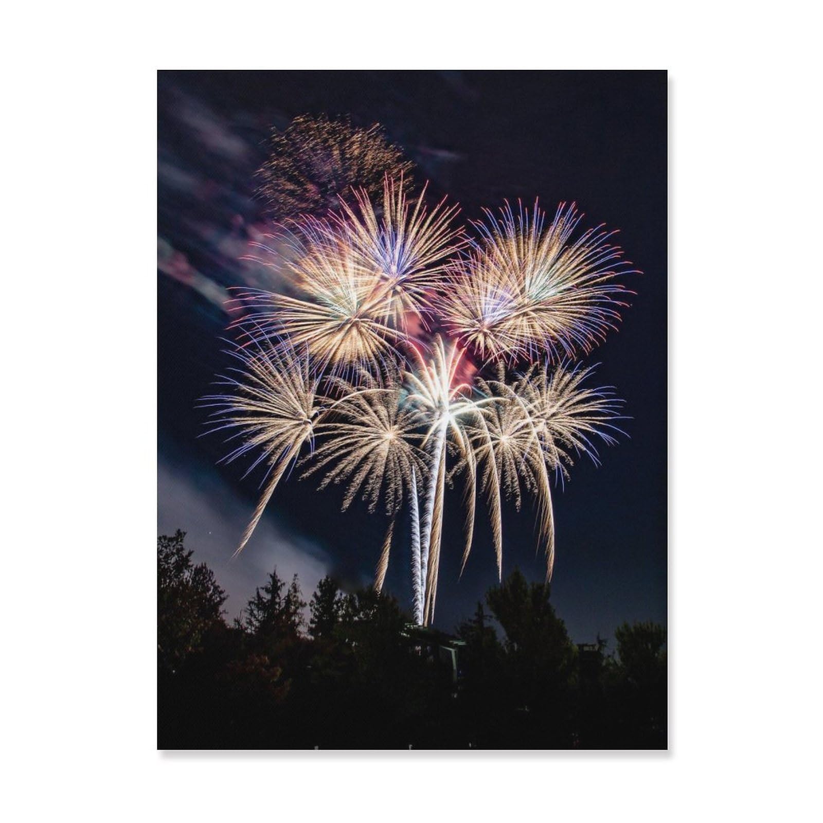 Amazon.co.jp: 絵画 夜の公園で花火が上がるインテリア 絵画 花火大会