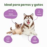 Ver la foto 2