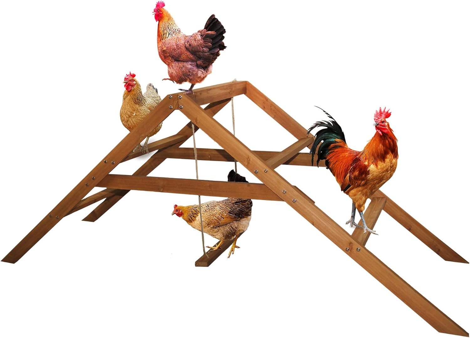 Roosting Bars for Chickens in Coop: Chicken Perches for Coop with Swing - Chicken Run Accessories Toy, Wooden Ladder for Pet, Ideal for Backyard Poultry, Farms - Easy to Assemble and Clean