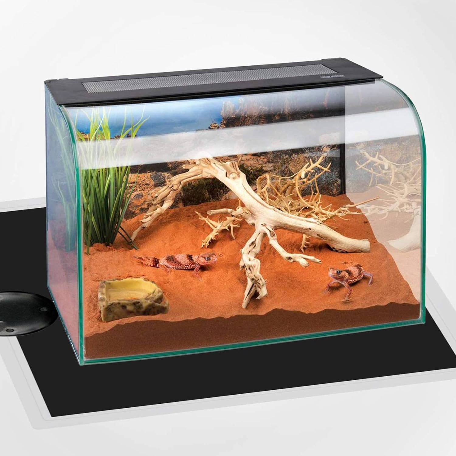 2PCS Reptile Heating Pad 5W/7W/14W/20W Temperature Adjustable Under Tank Heater Terrarium Heat Mat for Turtle, Tortoise, Lizard, Spider, Snake, Frog, Plant Box Winter Heat Device