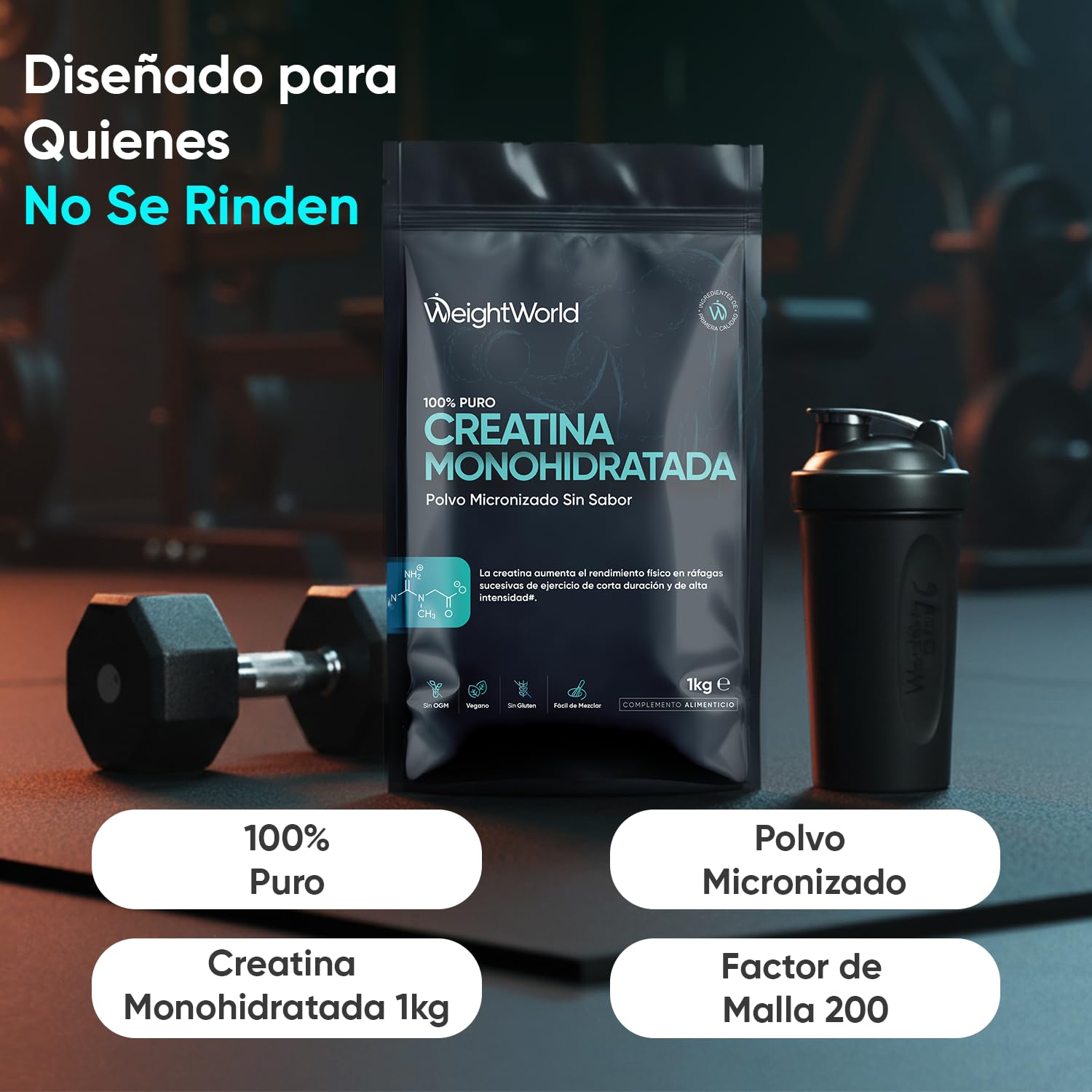 Creatina Monohidratada en Polvo 1kg/1000g para 330 Días - 100% Puro, Factor de Malla 200, 100% Monohidrato de Creatina Micronizada - Sin Sabor, Vegana, Sin Estearato de Magnesio, Cuchara Incluida - 2