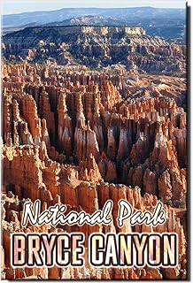 Bryce Canyon Fridge Magnet Utah Travel Souvenir National Park