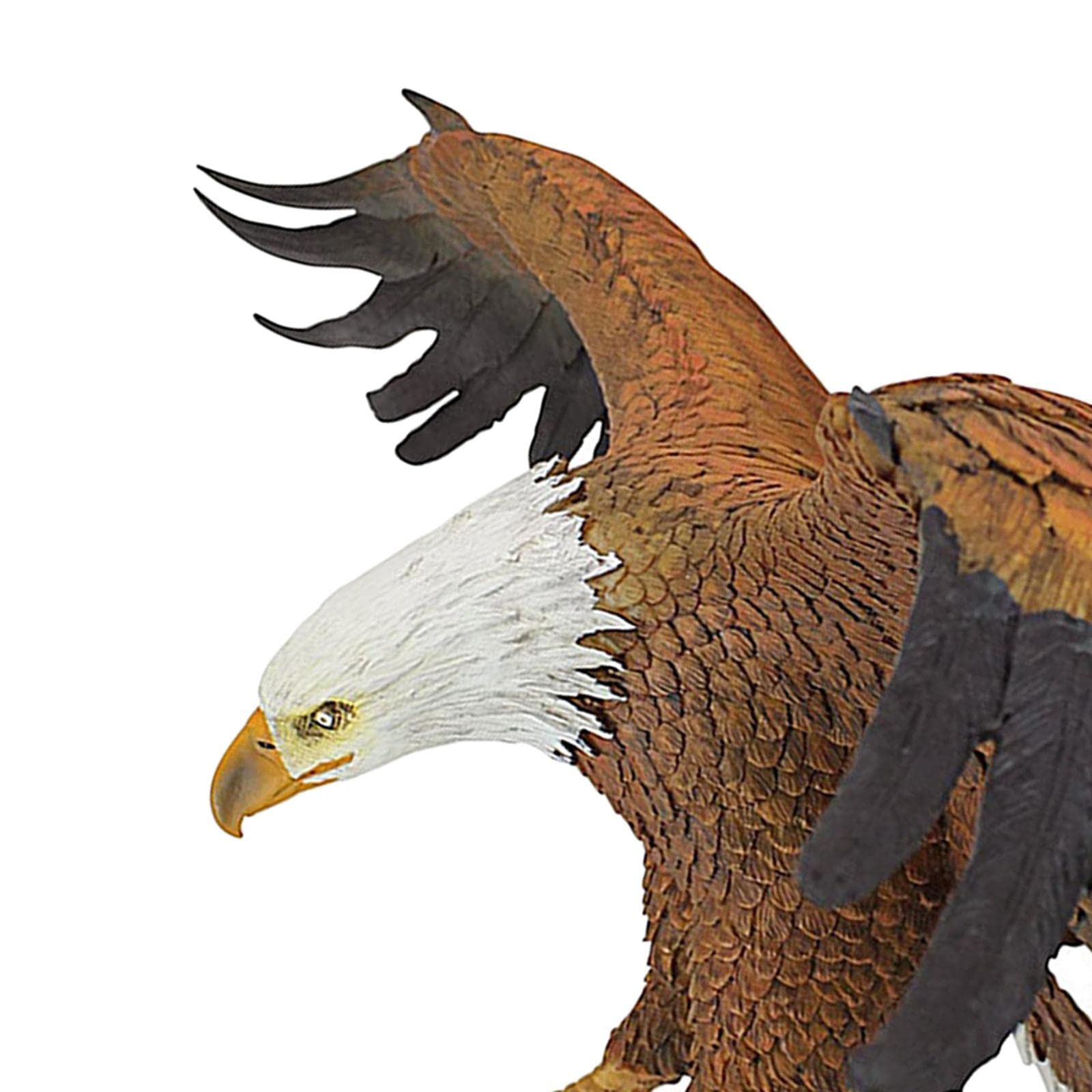 CALANDIS® Polyresin Eagle Flight of Freedom American Bald Eagle Hanging Bird Statue 22.5x10cm