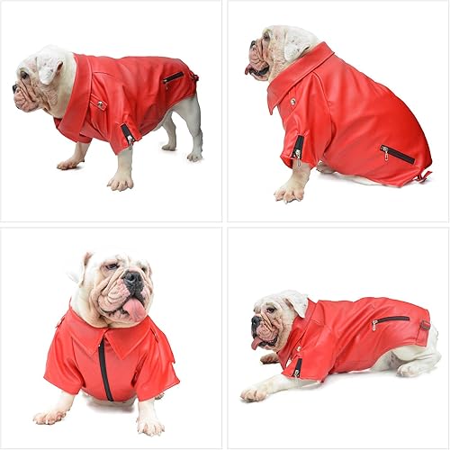 Miniatura 3 de Lovelonglong Chaqueta de cuero para perro, abrigos cálidos para perros, resistentes al viento, abrigos para clima frío para pugs Bulldog Pitbull