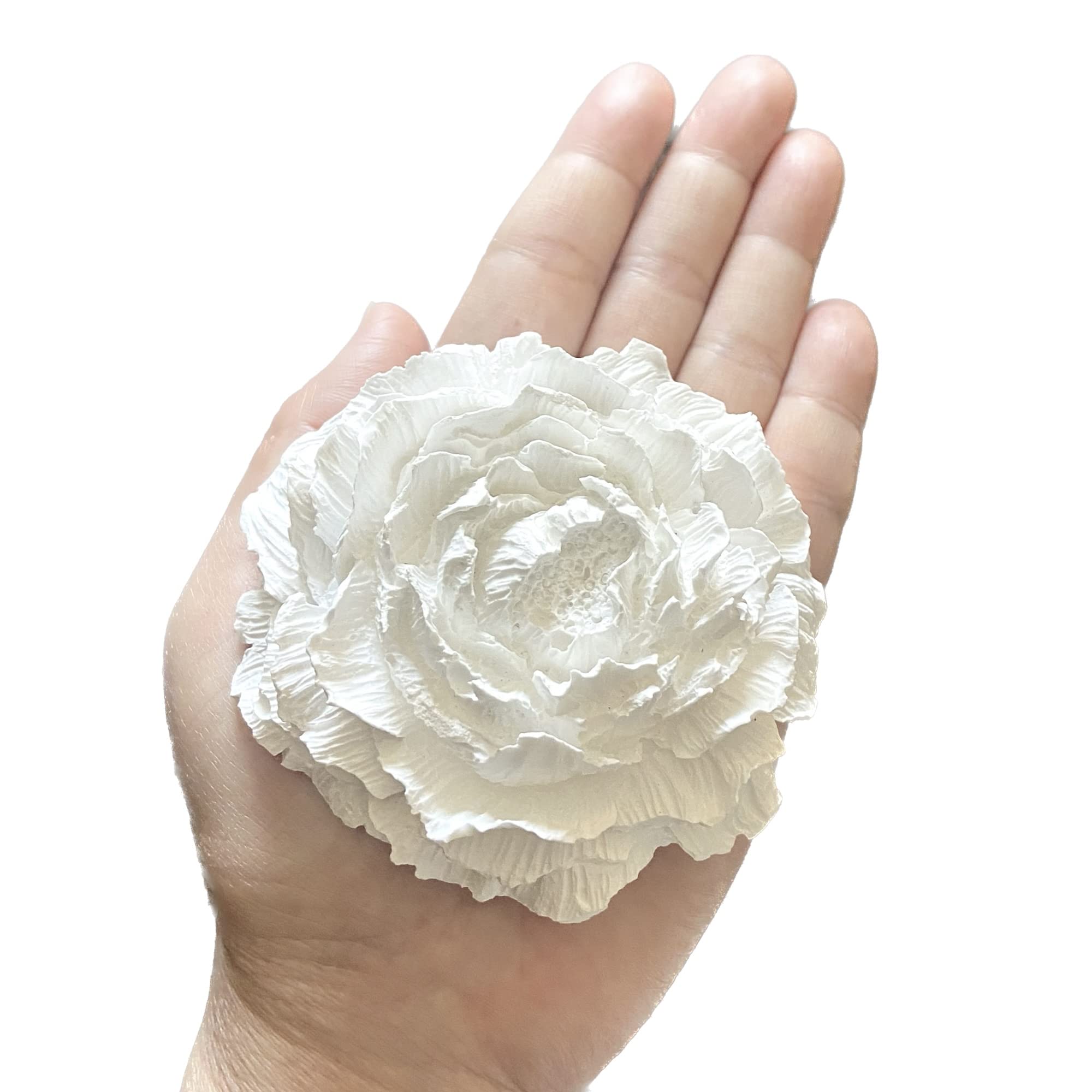 Amazon | 【espressivo】大きい アロマストーン 8.2cm 精油が滲み出