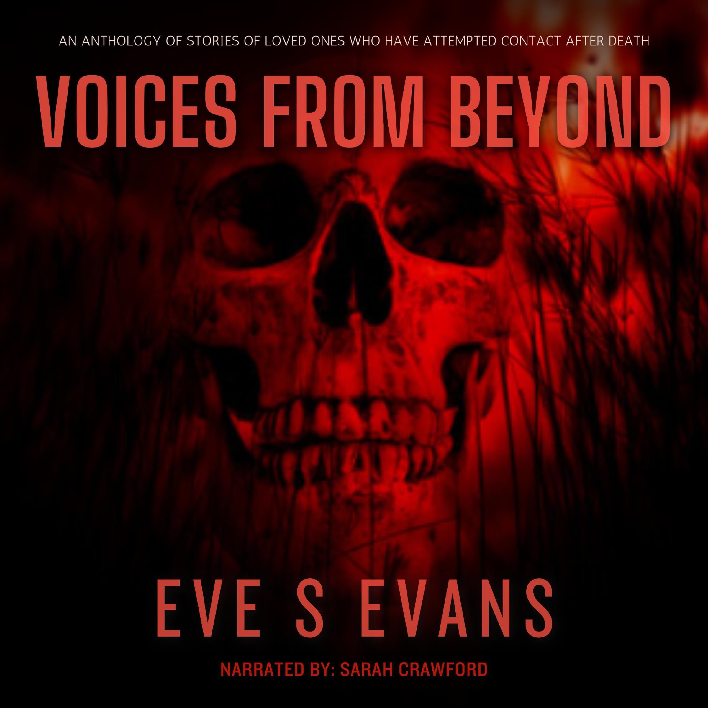 Cover art for Voices from Beyond