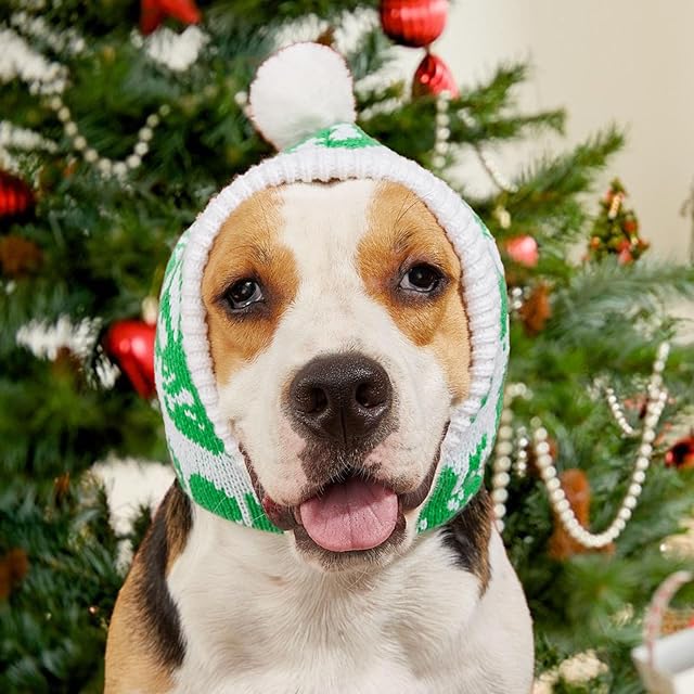 Foto 3 de 8 de Veeteah Gorro de punto para perros pequeños