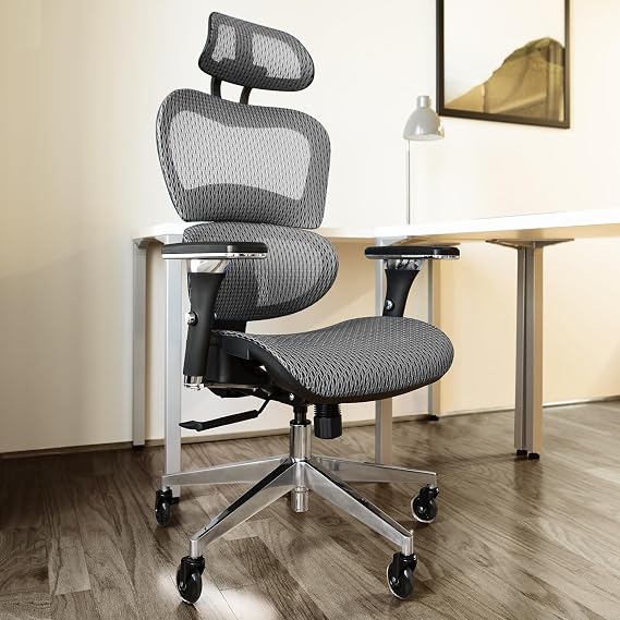 Nouhaus Ergonomic Office Chair with Lumbar Support High Back Mesh Desk Chair Best Desk Chair for Long Hours Adjustable Headrest and 4D Arms SGS Certified Gas Cylinder (Ergo3D Grey)