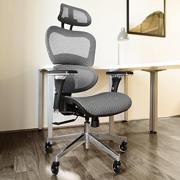 Nouhaus Ergonomic Office Chair with Lumbar Support High Back Mesh Desk Chair Best Desk Chair for Long Hours Adjustable Headrest and 4D Arms SGS Certified Gas Cylinder (Ergo3D Grey)