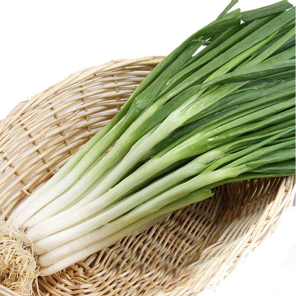 500 Pieces Scallion Vegetable Seasoning Seeds High Germination Rate Easy Cultivation Fast Growing Easy Handling Garden Farm Bonsai Plants Green Onion Seeds One Size
