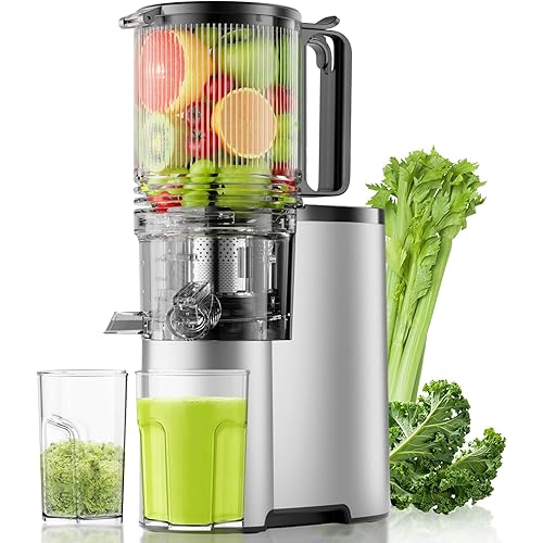 Cold Press Juicer, 5.3" Wide Feed Chute Juice Extractor Machine with 400W, High Juice Yield, Slow Masticating Juicer for Whole Vegetables & Fruits, Metallic Silver