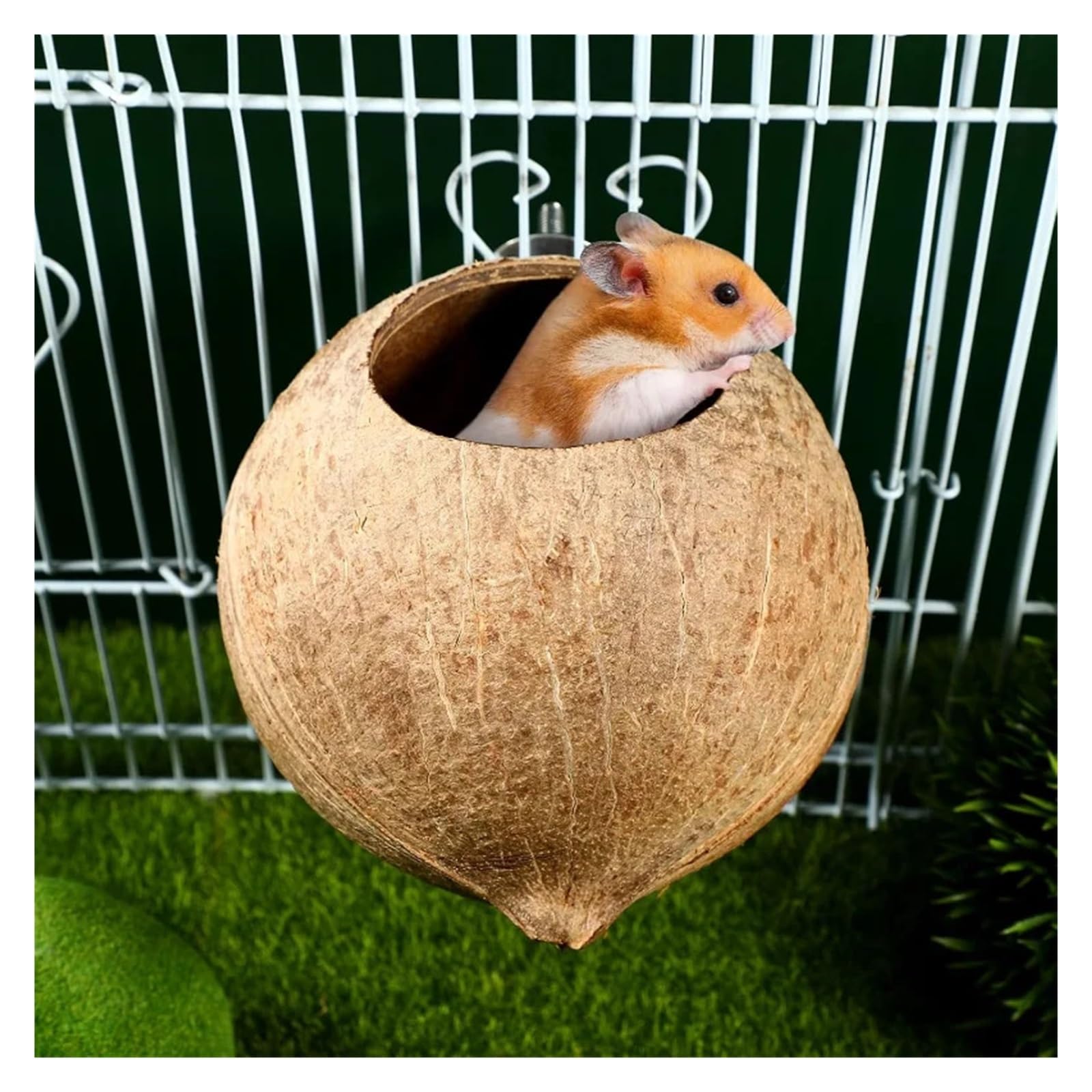 Vogelhaus aus Kokosnuss Vogelhauskäfig aus Kokosnussschalen for Wellensittiche und Papageien