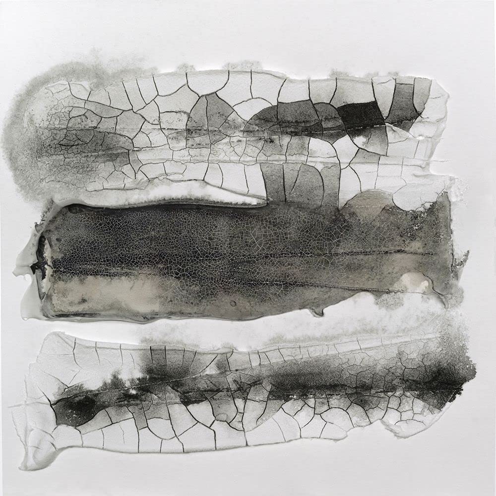 Cut Glass II Poster Print - Scherrer Finch (24 x 24)