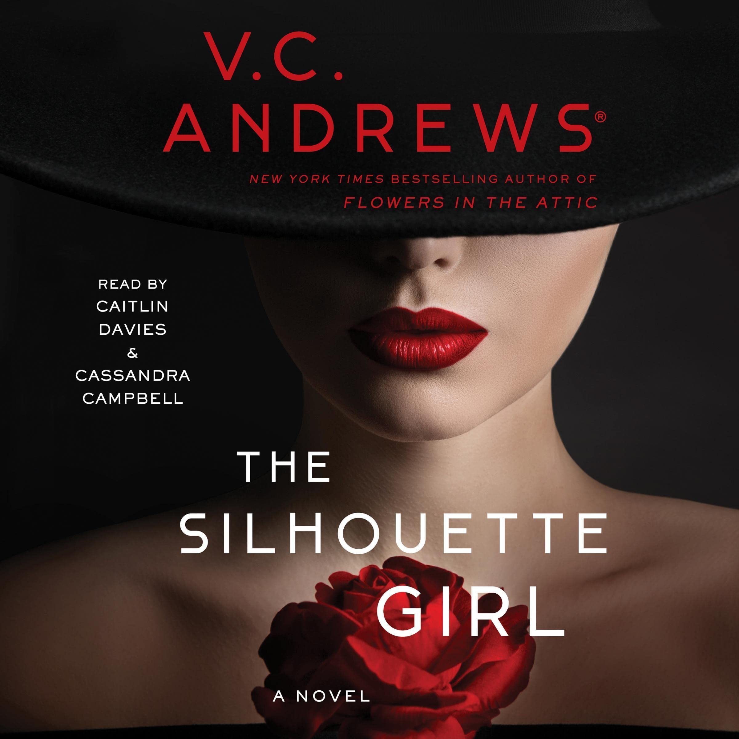 Cover art for The Silhouette Girl