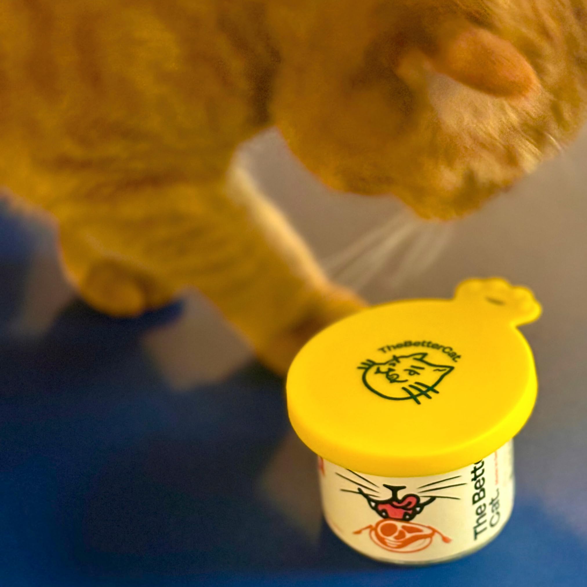 The Better Cat Set di 3 coperchi universali in silicone per lattine di alimenti per animali domestici, senza BPA, lavabili in lavastoviglie, coperchi per lattine per gatti