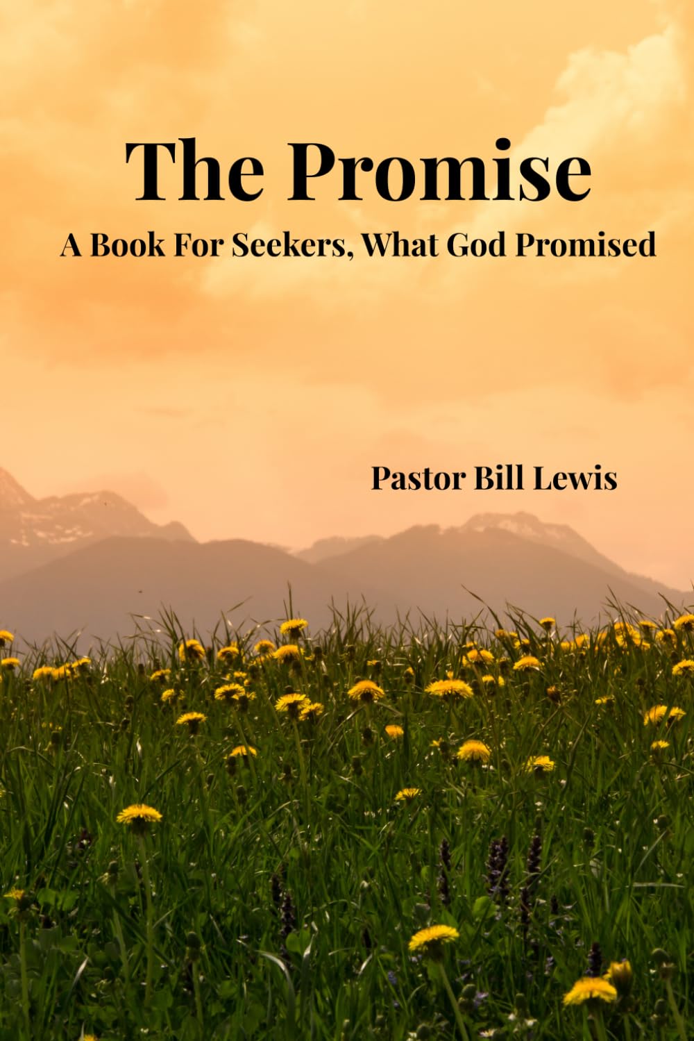 The Promise: A Book For Seekers, What God Promised