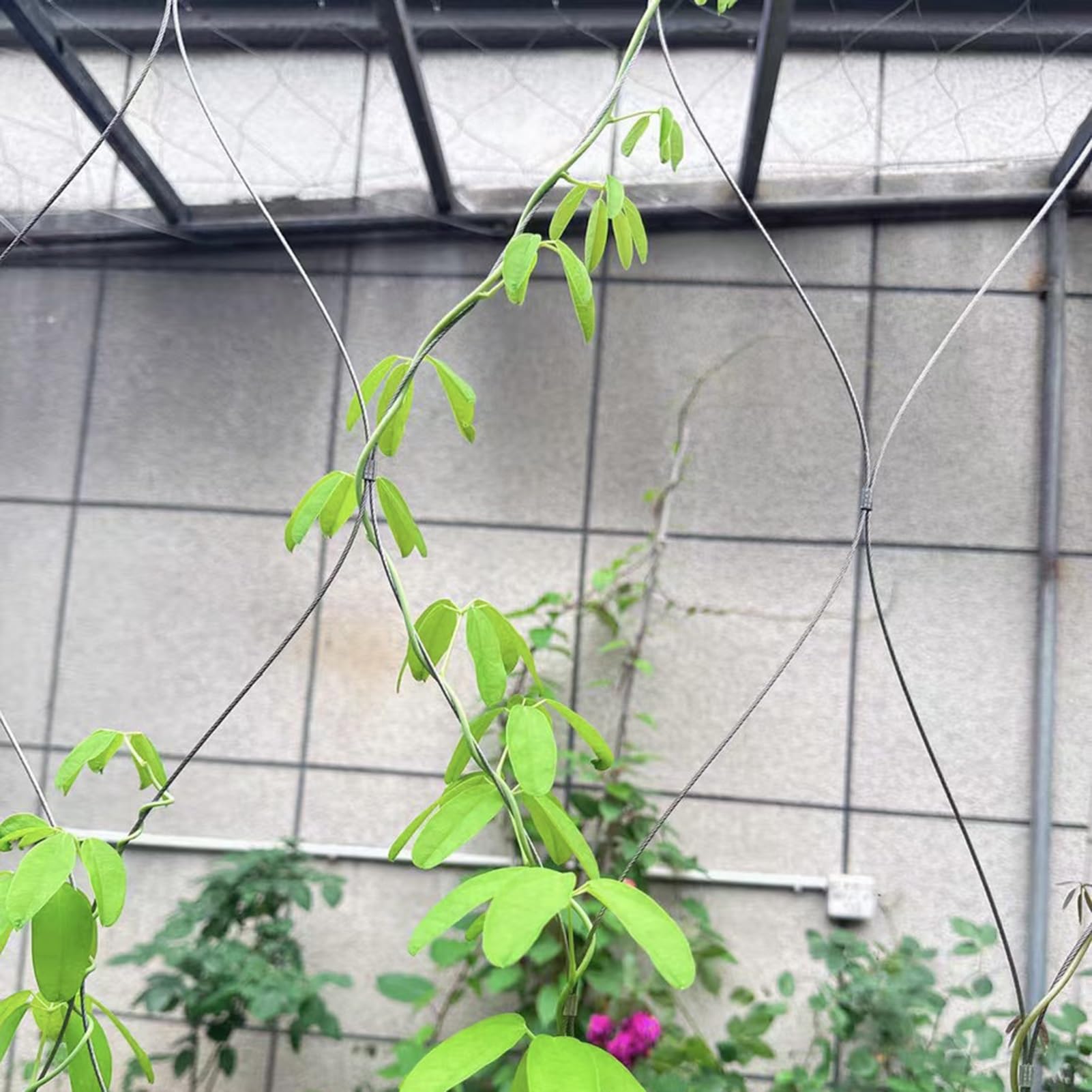 Rete da Giardino con Foro da 10 cm per Piante rampicanti, Rete Metallica in Acciaio Inossidabile, per Cantieri edili/luoghi di Lavoro/recinzioni Invernali Contro la Neve per Conigli, capre,