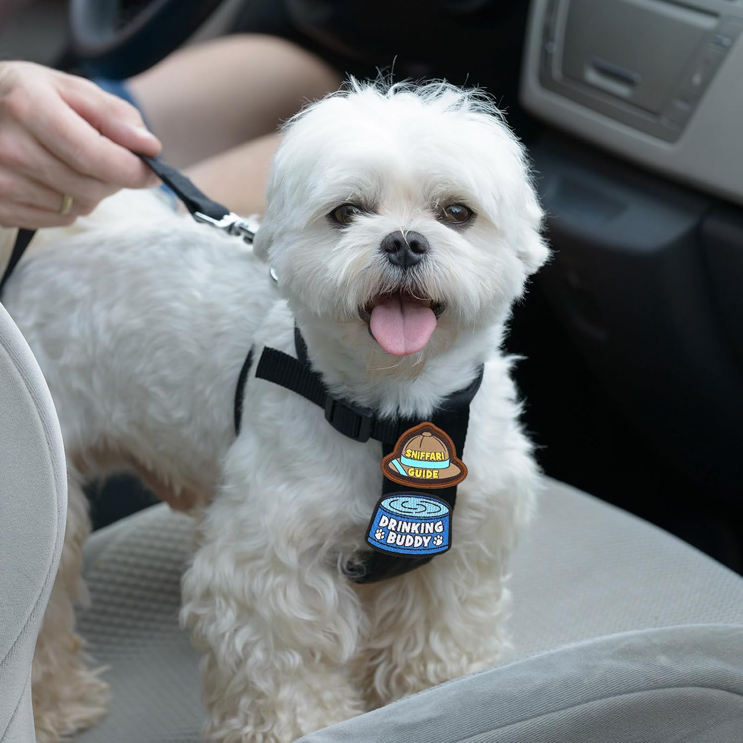12 Pcs Funny Cute Dog Patches for Harness Removable Vest Collar Hook Patch Set Dogs Proud Puppy Dad Mom Training Security Military Tactical Novelty Accessories Gifts