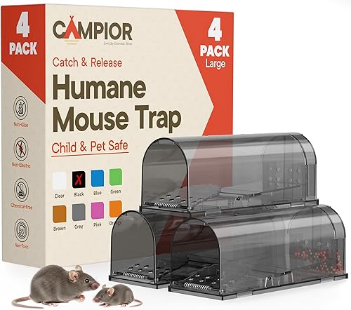 Black Humane - Trampa para ratones, paquete de 4, trampas para ratones vivos para atrapar y liberar para interiores y exteriores, segura para