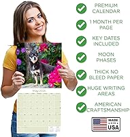 Vista 799 de Razas de Perros 2017