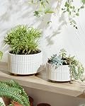 LE TAUCI Succulent Pot, Set of 2, 6.5+8 Inch Ceramic Plant Pots, Shallow Planters for Indoor Plants, Plant Pots Indoor with Drainage Hole, Modern Round Pot Plante Interieur, Gifts for Mom, White