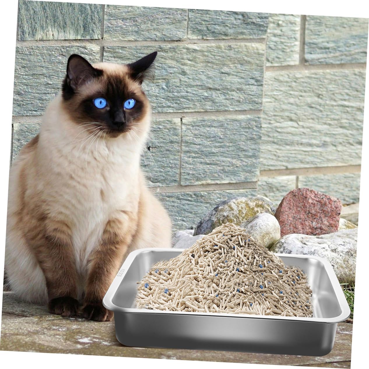 SUPVOX Open Litter Box for Small Pets Nonstick Cat Litter Pan Design for Easy Cleaning Spacious Dimensions for Comfort