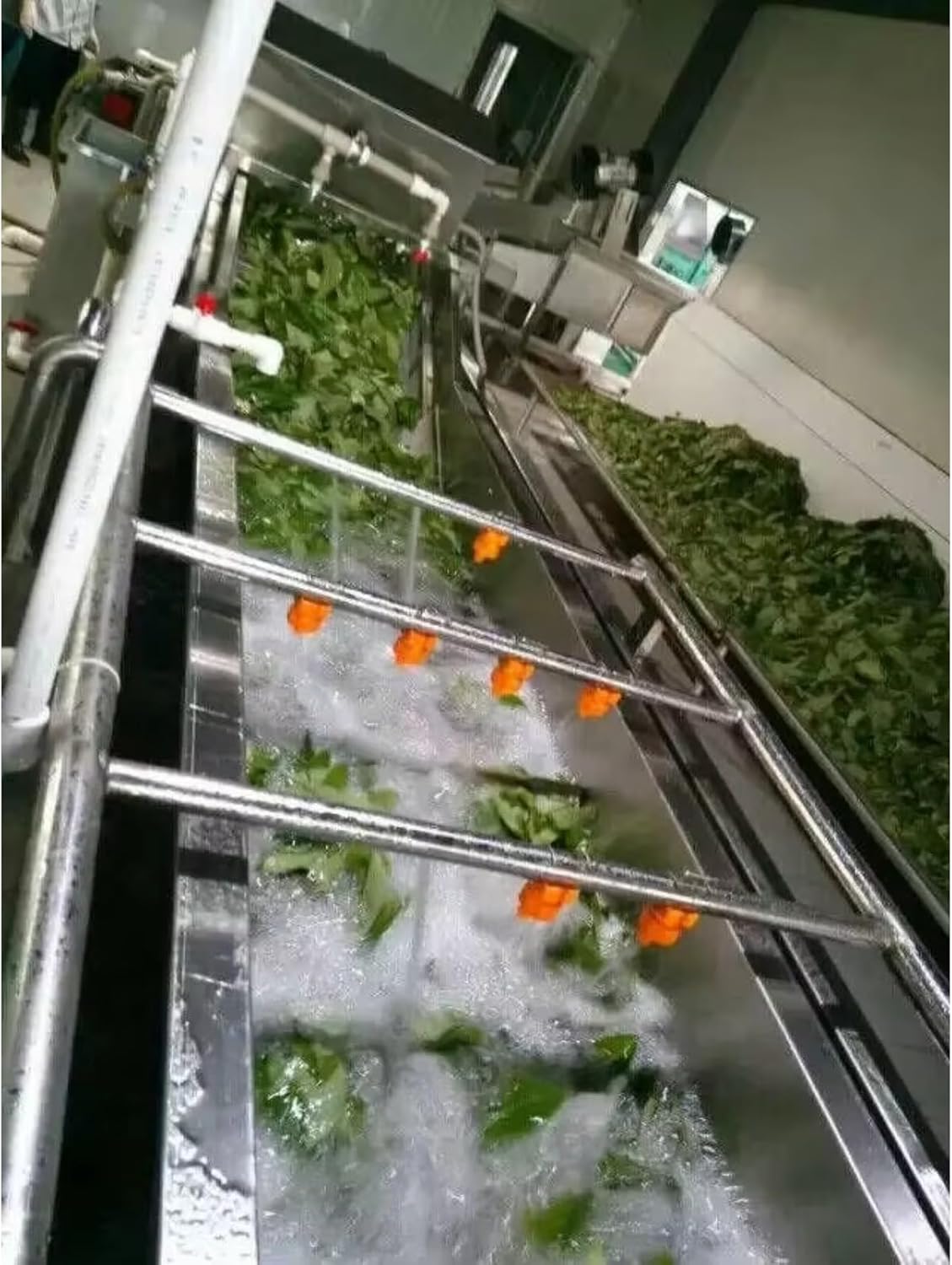 Professional Fruit Purifier Machine, Vegetable and Fruit Bubble Washer with Customizable Cycle, Industrial Cleaner for Seafood Market, Workshop & Agricultural Packing Line