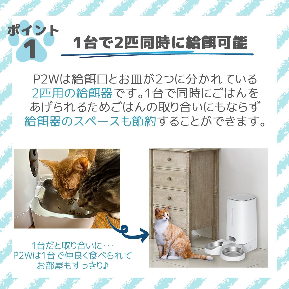 Take-One P2W 自動給餌器 猫 犬 スマホ 多頭飼い 自動餌やり機 Take-One P2W 自動給餌器 猫 犬 スマホ 多頭飼い 自動餌やり機