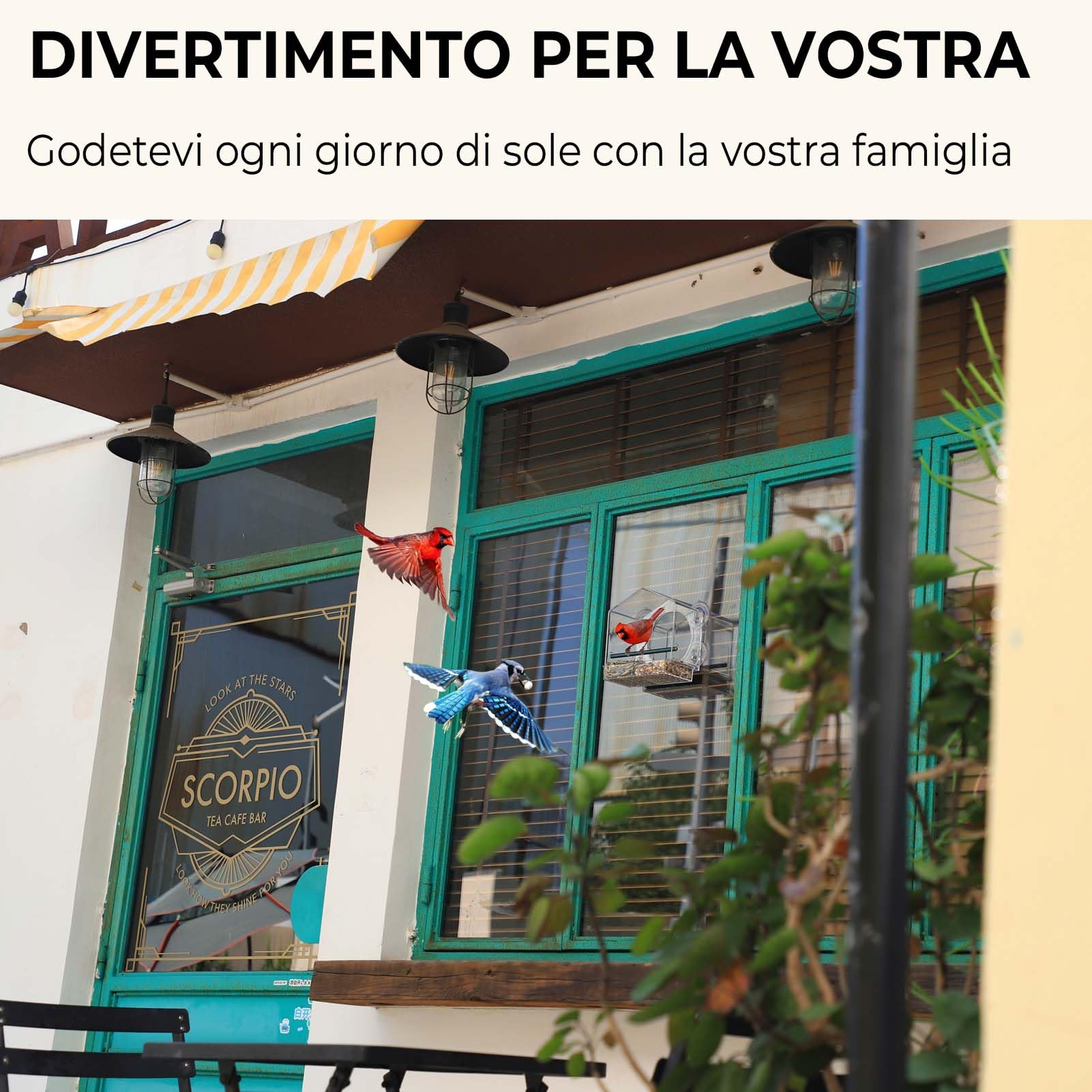 MRCRAFTS Grande Mangiatoia per Uccellini da Esterno Trasparente 26 x 14 x 5.5 cm - Mangiatoia da Finestra per Uccelli Selvatici da Balcone, Regali Unici