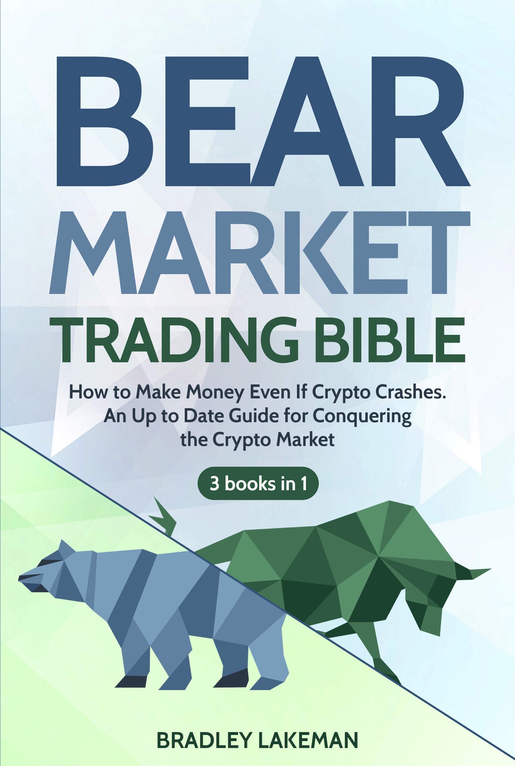 Bear Market Trading Bible How To Make Money Even If | Desertcart Seychelles
