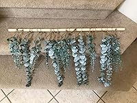 Review Image by Robert Lee Robert Lee