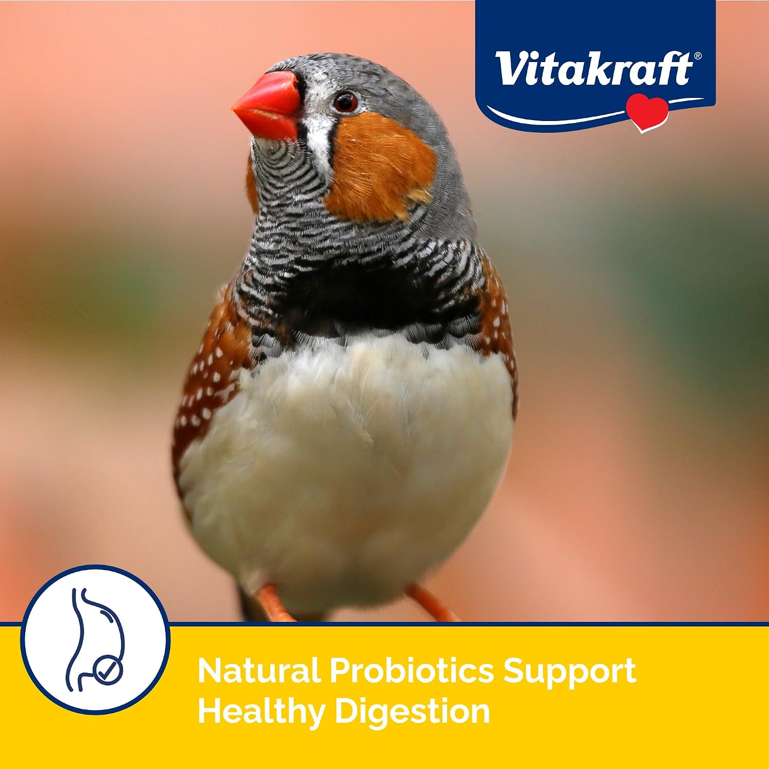 Vitakraft Menu Premium Canary/Finch Food Vitamin-Fortified 2.5 lb (Pack of 1)