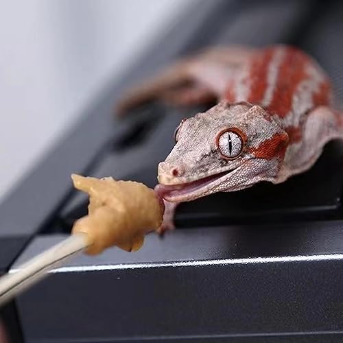 Miniatura 5 de 2 cucharas de comida para reptiles, mezcla de frutas en polvo, herramienta de alimentación de mango largo, se adapta a gárgola crestada, lagarto