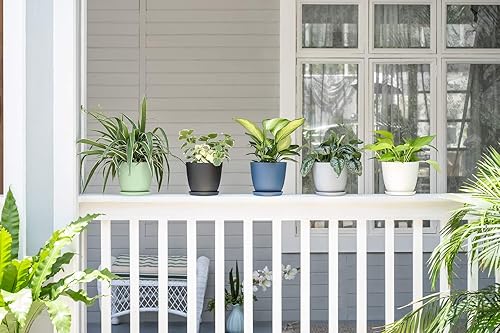 Miniatura 9 de Mkono Macetas de plástico de 7.5 pulgadas para plantas con platillos, juego de 5 macetas de plástico para interiores, maceta moderna con orificio de