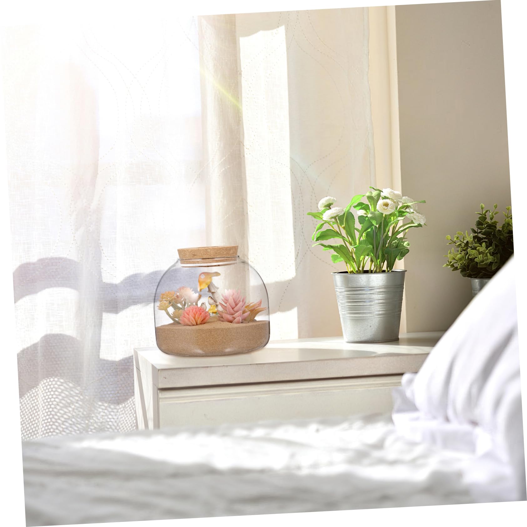 Kleines Terrarium für Pflanzen Dekoratives Gefäß mit Korkdeckel für Moos und Miniaturgärten Perfektes Wohnaccessoire und für Pflanzenliebhaber